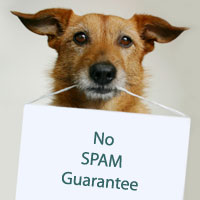 Our spam policy