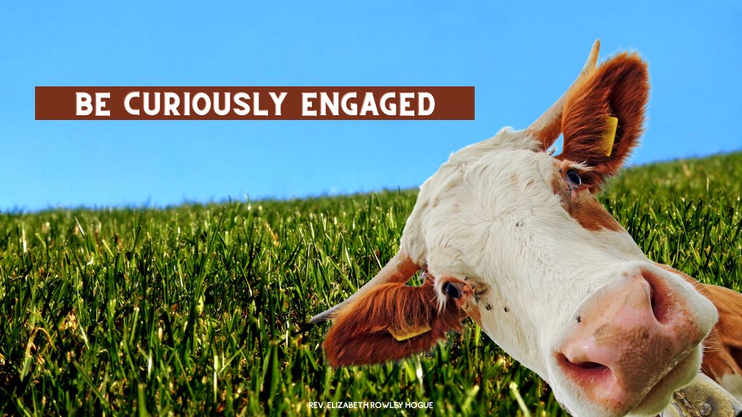 Be Curiously Engaged