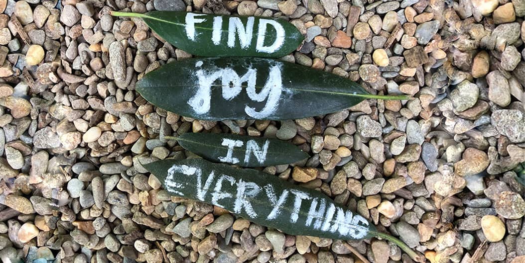 Find Joy in Everything