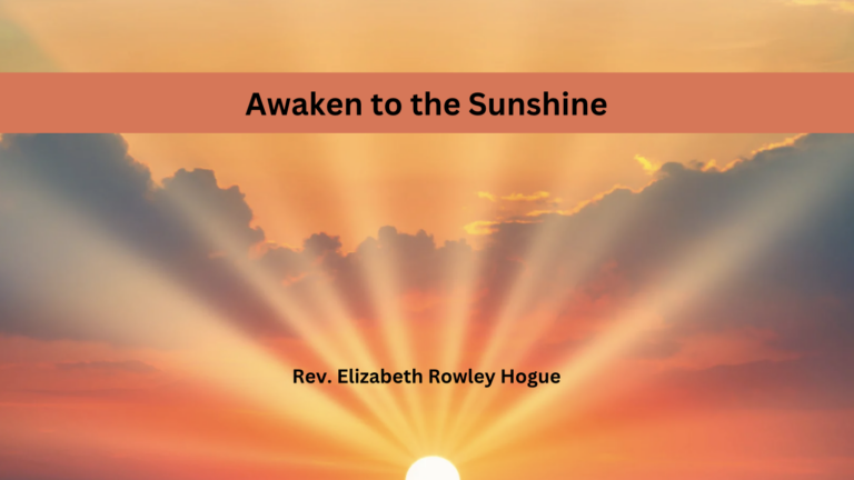 Awaken to the Sunshine